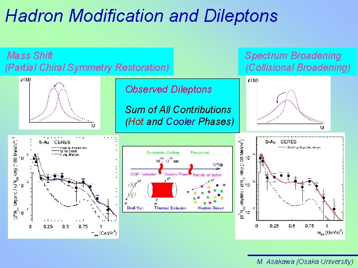 Hadron Modification and Dileptons Mass Shift (Partial Chiral Symmetry Restoration) Spectrum Broadening (Collisional Broadening)