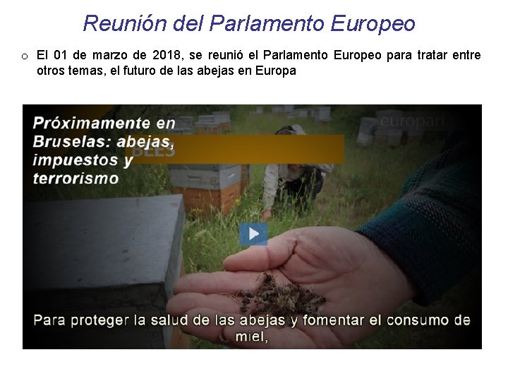 Reunión del Parlamento Europeo o El 01 de marzo de 2018, se reunió el