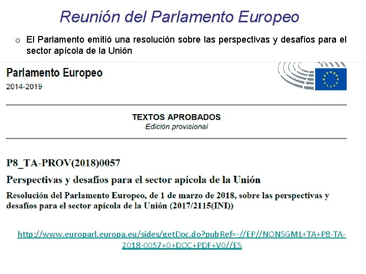 Reunión del Parlamento Europeo o El Parlamento emitió una resolución sobre las perspectivas y