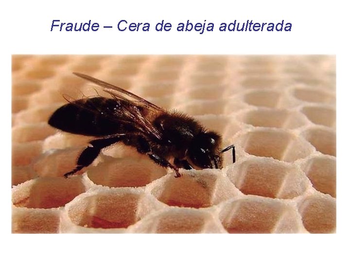 Fraude – Cera de abeja adulterada 