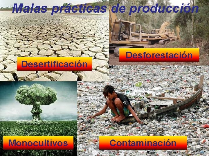 Malas prácticas de producción Desertificación Monocultivos Desforestación Contaminación 