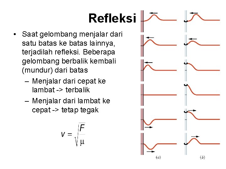 Refleksi • Saat gelombang menjalar dari satu batas ke batas lainnya, terjadilah refleksi. Beberapa