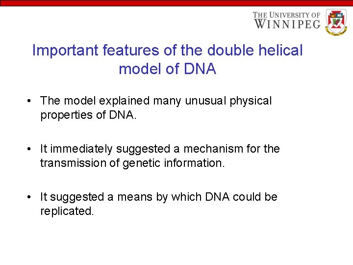 Important features of the double helical model of DNA • The model explained many