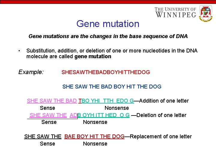 Gene mutations are the changes in the base sequence of DNA • Substitution, addition,