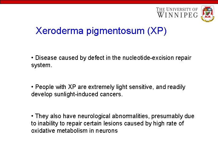 Xeroderma pigmentosum (XP) • Disease caused by defect in the nucleotide-excision repair system. •