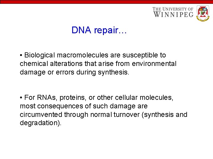 DNA repair… • Biological macromolecules are susceptible to chemical alterations that arise from environmental