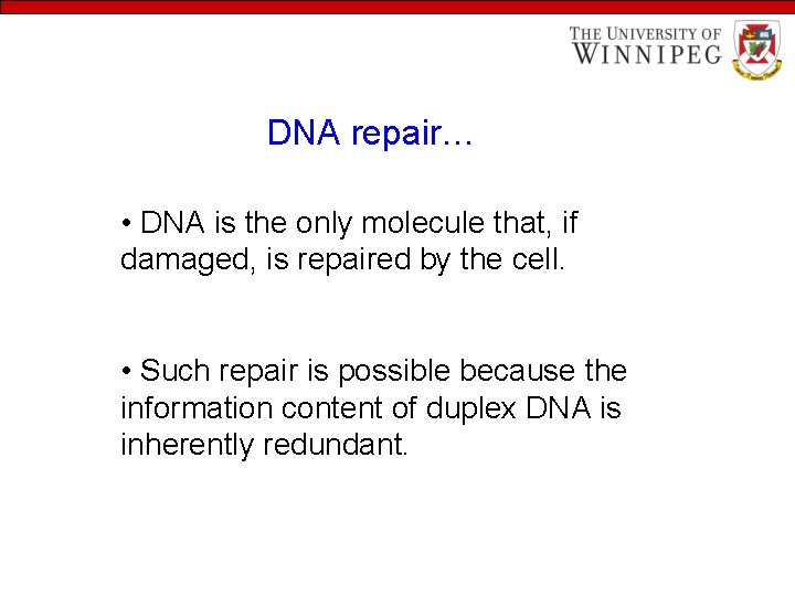 DNA repair… • DNA is the only molecule that, if damaged, is repaired by