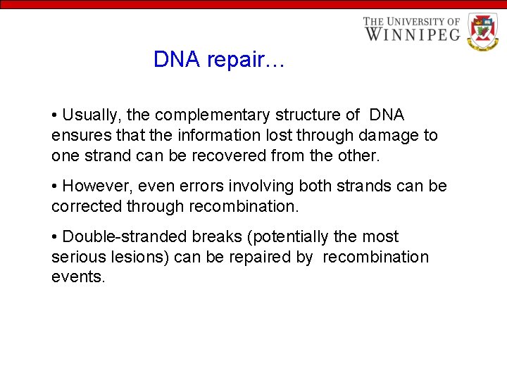 DNA repair… • Usually, the complementary structure of DNA ensures that the information lost