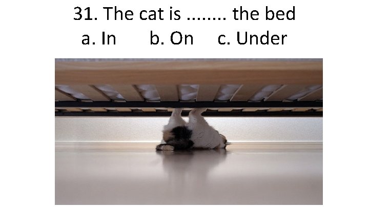 31. The cat is. . . . the bed a. In b. On c.