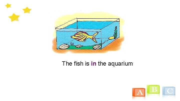 The fish is in the aquarium 