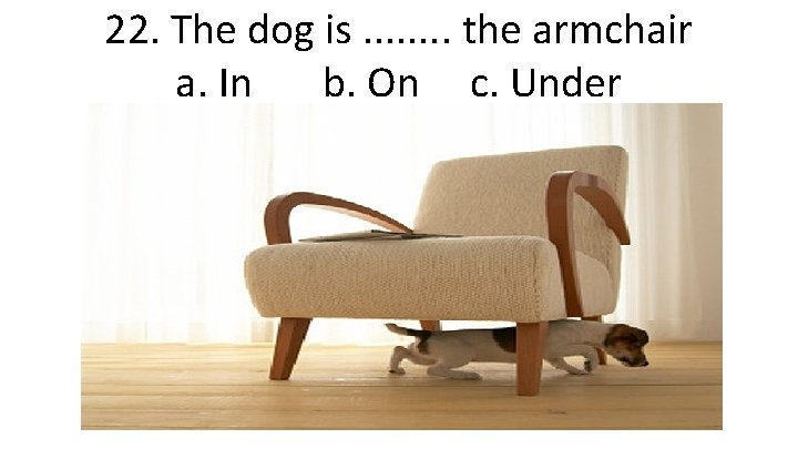 22. The dog is. . . . the armchair a. In b. On c.