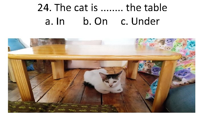 24. The cat is. . . . the table a. In b. On c.