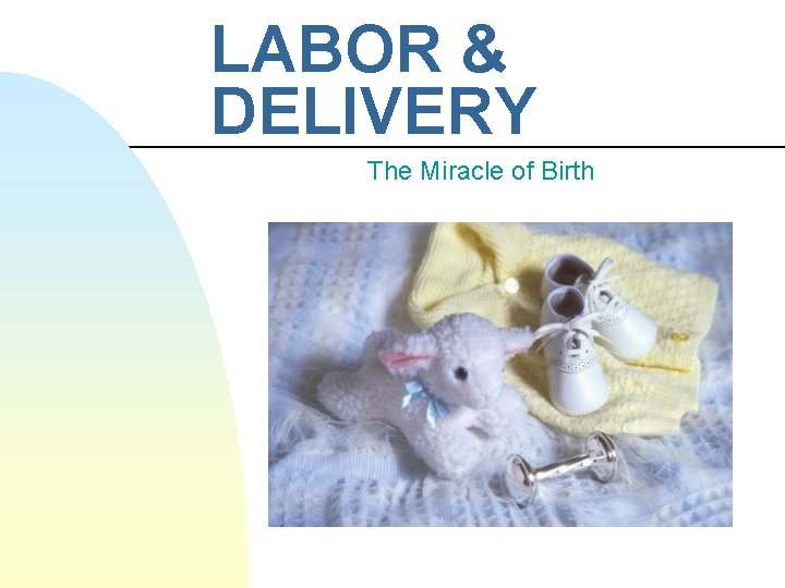 LABOR & DELIVERY The Miracle of Birth 