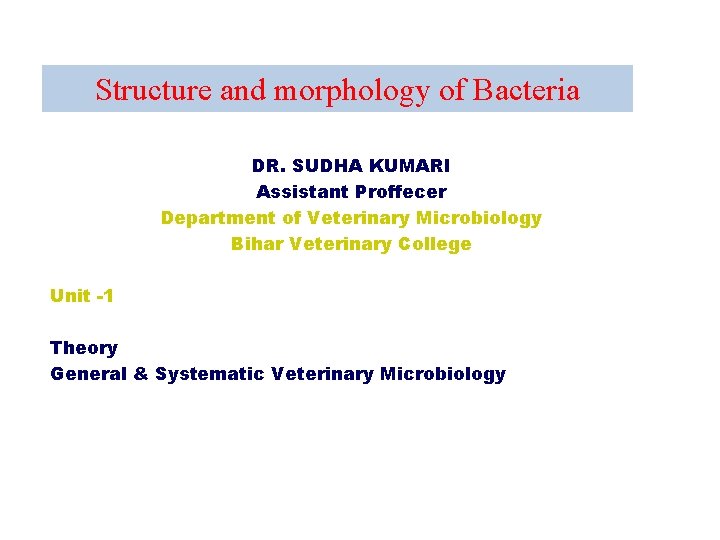 Structure and morphology of Bacteria DR. SUDHA KUMARI Assistant Proffecer Department of Veterinary Microbiology