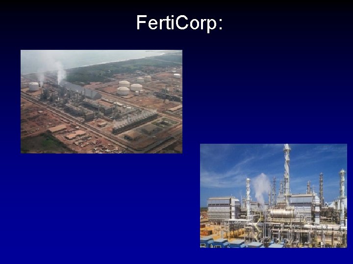 Ferti. Corp: 