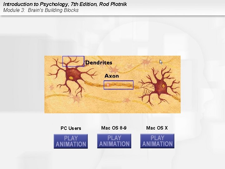 Introduction to Psychology, 7 th Edition, Rod Plotnik Module 3: Brain’s Building Blocks PC