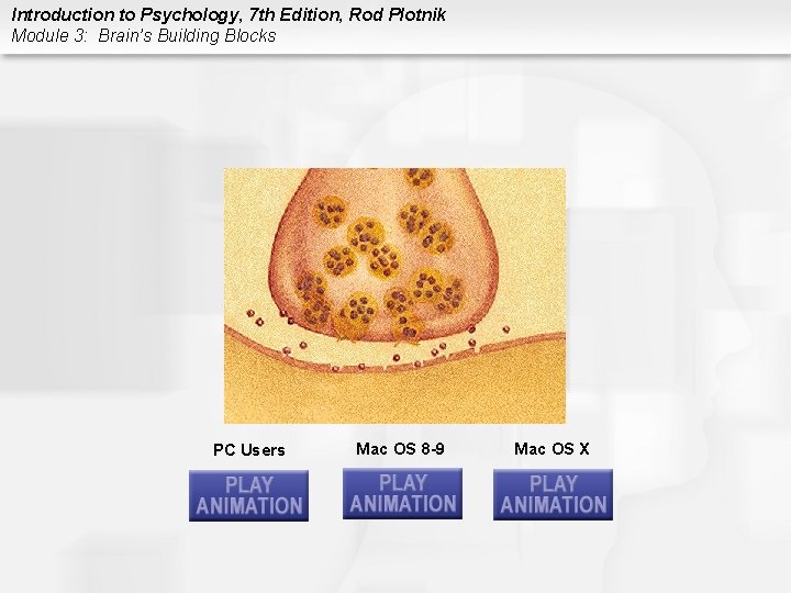 Introduction to Psychology, 7 th Edition, Rod Plotnik Module 3: Brain’s Building Blocks PC