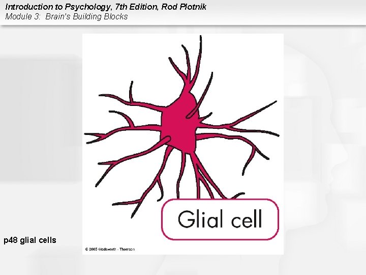 Introduction to Psychology, 7 th Edition, Rod Plotnik Module 3: Brain’s Building Blocks p