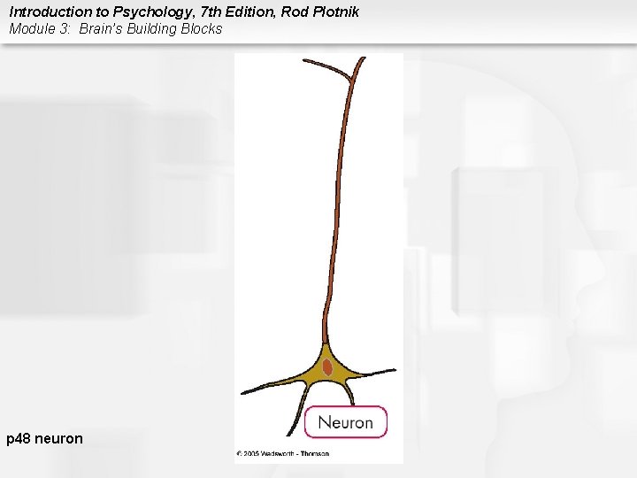 Introduction to Psychology, 7 th Edition, Rod Plotnik Module 3: Brain’s Building Blocks p