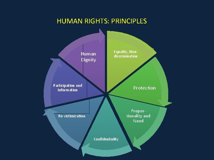 HUMAN RIGHTS: PRINCIPLES Human Dignity Equality, Nondiscrimination Participation and Information Protection Proportionality and Need