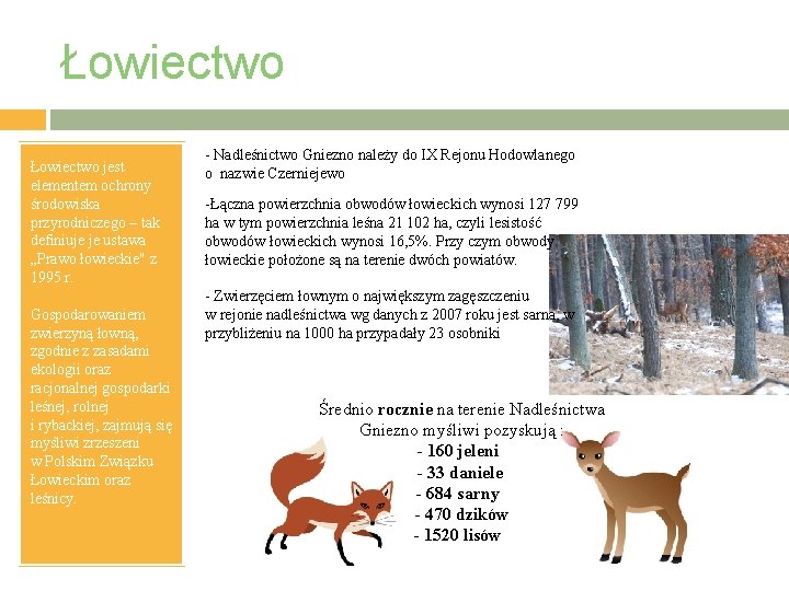 Łowiectwo jest elementem ochrony środowiska przyrodniczego – tak definiuje je ustawa „Prawo łowieckie" z