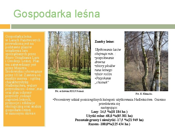 Gospodarka leśna w Lasach Państwowych prowadzona jest na podstawie planów urządzenia lasu sporządzanych przez