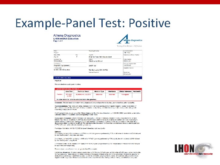 Example-Panel Test: Positive 