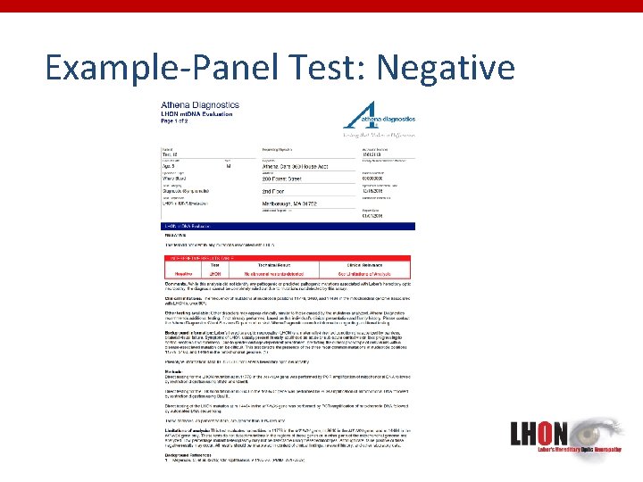 Example-Panel Test: Negative 