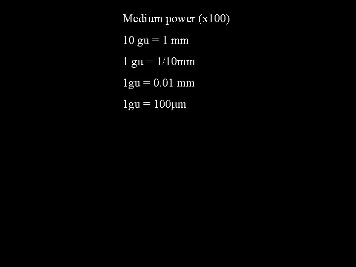 Medium power (x 100) 10 gu = 1 mm 1 gu = 1/10 mm