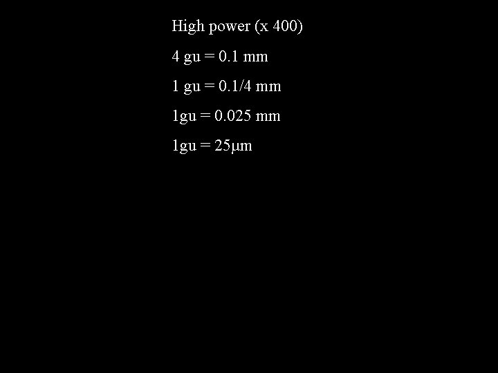 High power (x 400) 4 gu = 0. 1 mm 1 gu = 0.