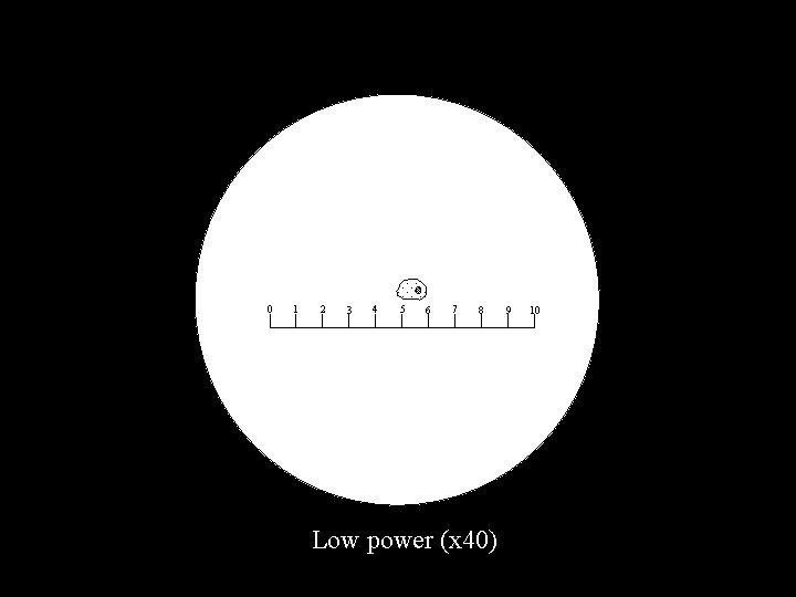 0 1 2 3 4 5 6 7 8 Low power (x 40) 9