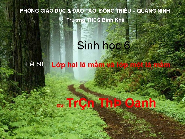 PHÒNG GIÁO DỤC & ĐÀO TẠO ĐÔNG TRIỀU – QUẢNG NINH Trường THCS Bình