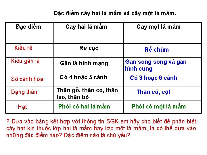 Đặc điểm cây hai lá mầm và cây một lá mầm. Đặc điểm Kiểu