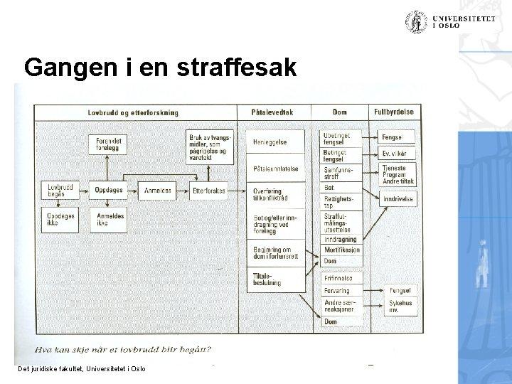 Gangen i en straffesak Det juridiske fakultet, Universitetet i Oslo 