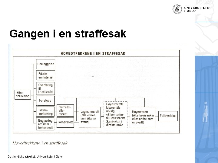 Gangen i en straffesak Det juridiske fakultet, Universitetet i Oslo 