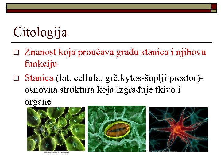 Citologija o o Znanost koja proučava građu stanica i njihovu funkciju Stanica (lat. cellula;