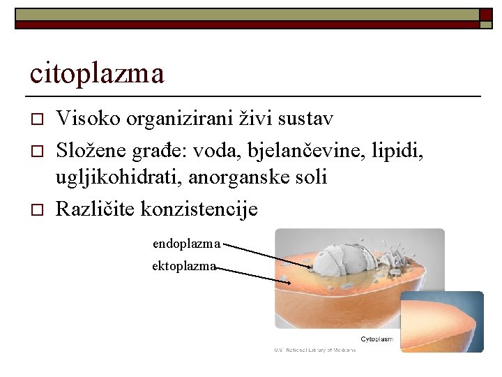 citoplazma o o o Visoko organizirani živi sustav Složene građe: voda, bjelančevine, lipidi, ugljikohidrati,