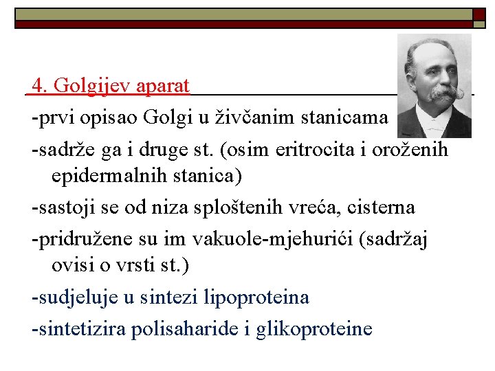 4. Golgijev aparat -prvi opisao Golgi u živčanim stanicama -sadrže ga i druge st.