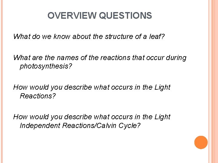 OVERVIEW QUESTIONS What do we know about the structure of a leaf? What are