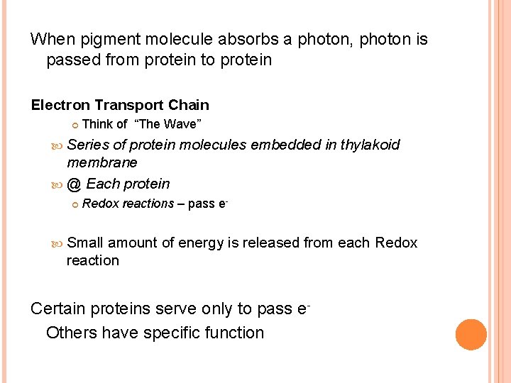 When pigment molecule absorbs a photon, photon is passed from protein to protein Electron