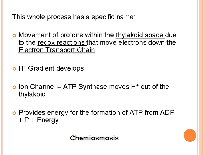 This whole process has a specific name: Movement of protons within the thylakoid space