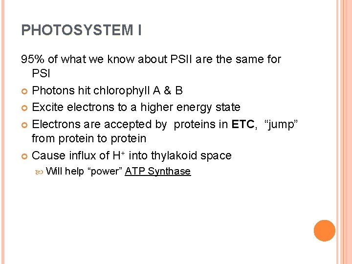 PHOTOSYSTEM I 95% of what we know about PSII are the same for PSI