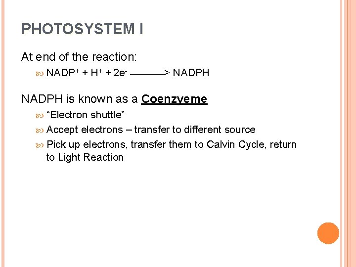 PHOTOSYSTEM I At end of the reaction: NADP+ + H+ + 2 e- _____>