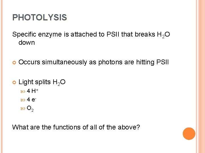 PHOTOLYSIS Specific enzyme is attached to PSII that breaks H 2 O down Occurs
