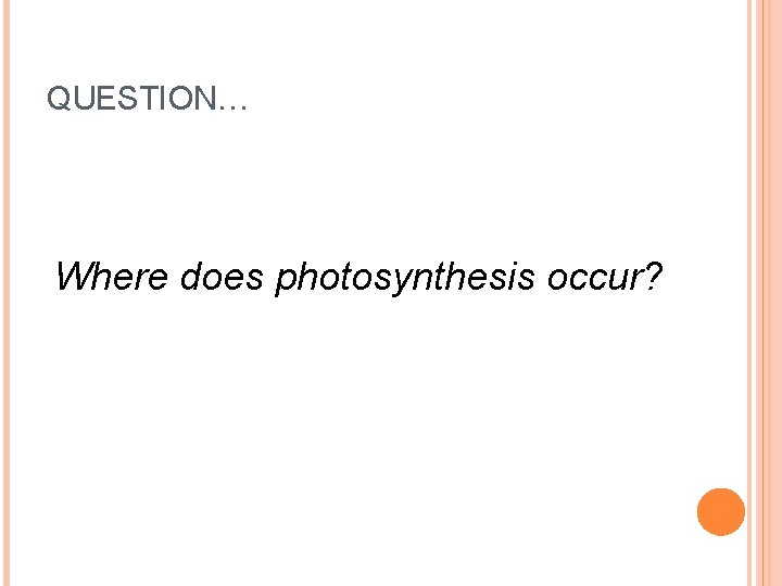 QUESTION… Where does photosynthesis occur? 