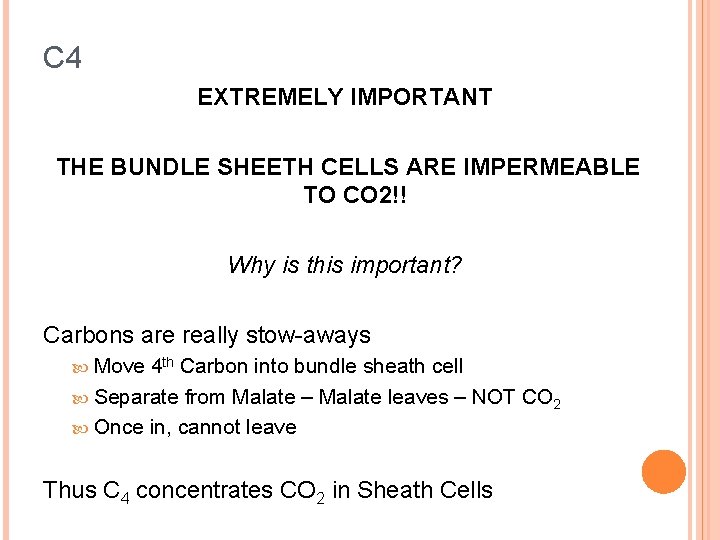 C 4 EXTREMELY IMPORTANT THE BUNDLE SHEETH CELLS ARE IMPERMEABLE TO CO 2!! Why