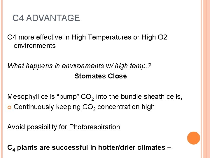 C 4 ADVANTAGE C 4 more effective in High Temperatures or High O 2