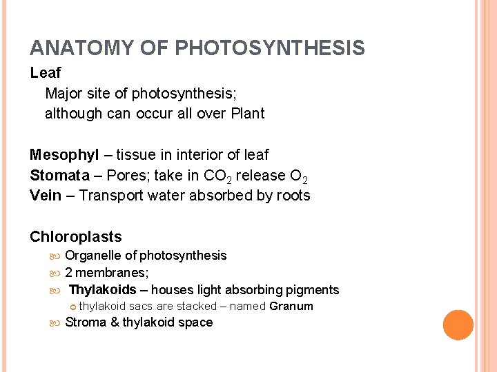 ANATOMY OF PHOTOSYNTHESIS Leaf Major site of photosynthesis; although can occur all over Plant