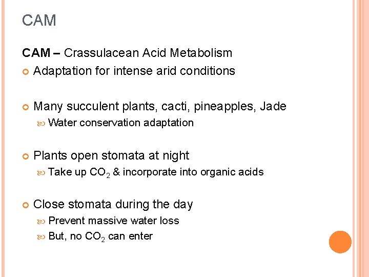 CAM – Crassulacean Acid Metabolism Adaptation for intense arid conditions Many succulent plants, cacti,