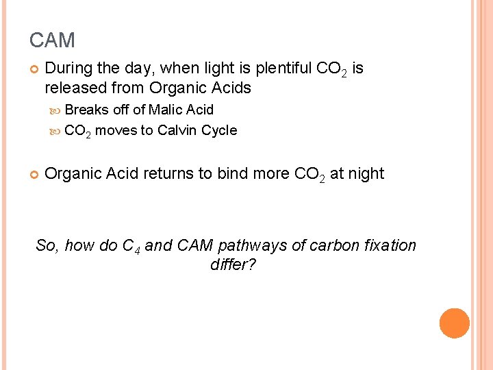 CAM During the day, when light is plentiful CO 2 is released from Organic